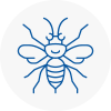 Mossley Hornet Nest Removals