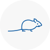 Mice Exterminators In Mossley