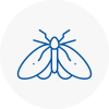 Moth Control Specialists In Mossley