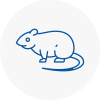 Rat Control Mossley