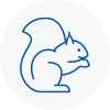 Mossley Rodent Removals