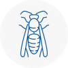 Mossley Wasp Nest Removal